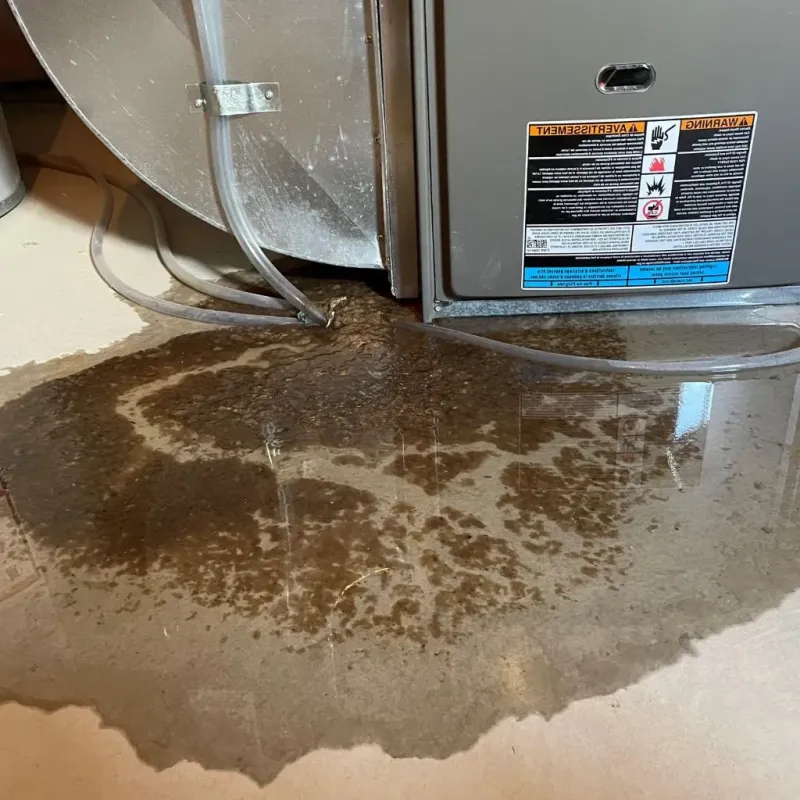 Pipe Burst and Leak Restoration in Brigham City, UT